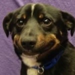 Profilbild von cans