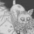 Profilbild von tomie