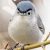 Profilbild von zelt