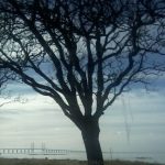 Profilbild von tes039