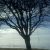 Profilbild von tes039